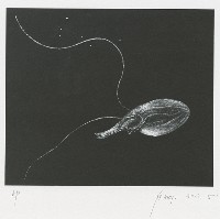 無題藏品圖，第1張