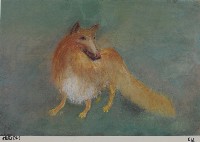 牧羊犬藏品圖，第1張