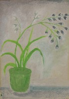 花卉藏品圖，第1張