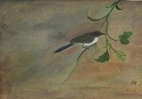花鳥藏品圖，第1張