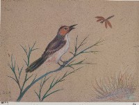 鳥與蜻蜓藏品圖，第1張
