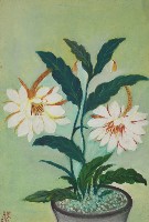 瓊花(2)藏品圖，第1張