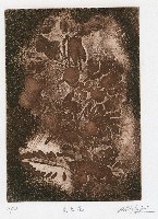 貝之花藏品圖，第1張