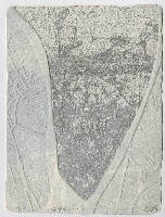 水痕草衣 NO.2-1藏品圖，第1張