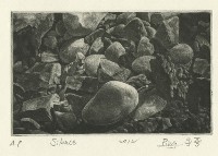 沉默藏品圖，第1張