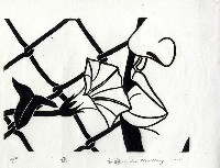 舔藏品圖，第1張