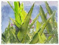 北海岸藏品圖，第1張