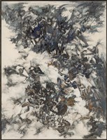 大象無形系列藏品圖，第1張