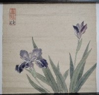 鳶尾-1藏品圖，第1張