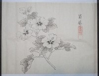 蜀葵藏品圖，第1張