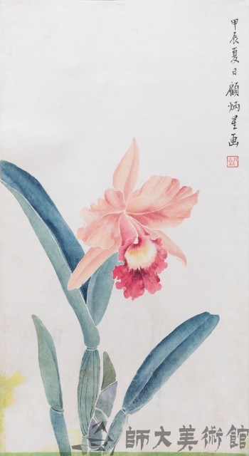 美齡蘭寫生藏品圖，第1張