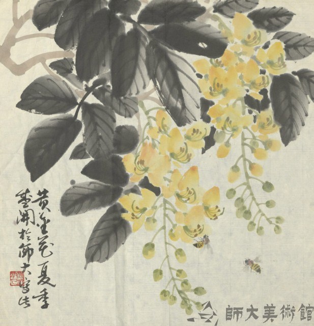 黃金花藏品圖，第1張