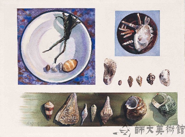 靜物藏品圖，第1張