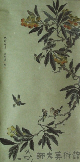 枇杷藏品圖，第1張