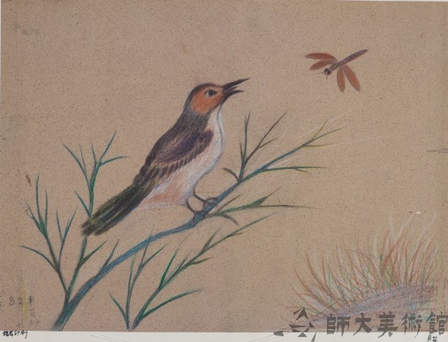 鳥與蜻蜓藏品圖，第1張