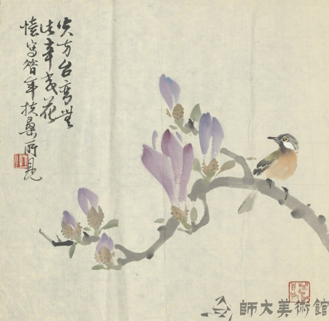 莘荑花藏品圖，第1張