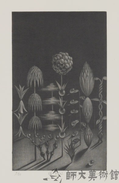 植物Ι藏品圖，第1張