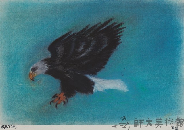 鵬程萬里藏品圖，第1張