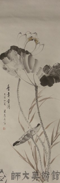 荷花藏品圖，第1張