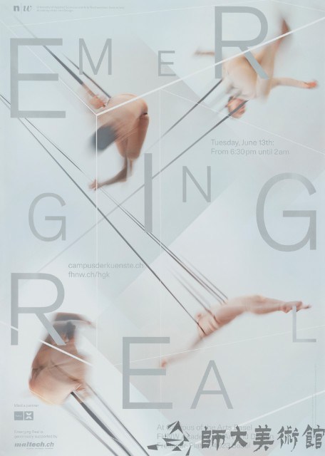 Emerging Real藏品圖，第1張