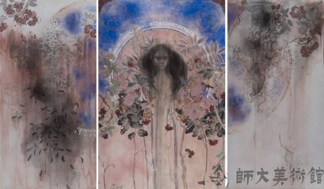 火筒樹藏品圖，第1張