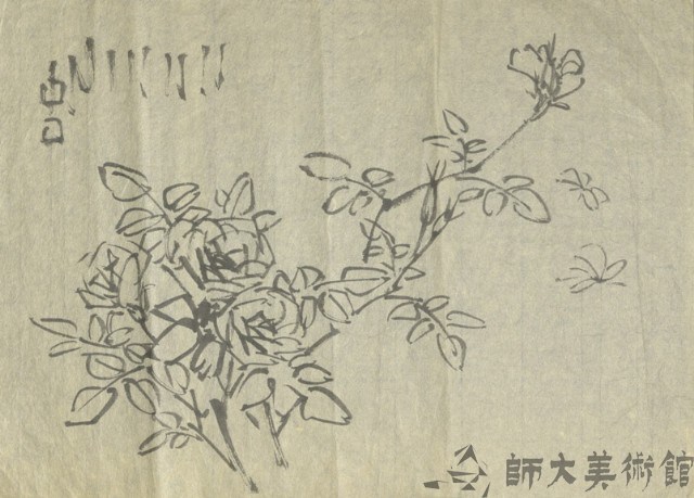 薔薇畫稿藏品圖，第1張