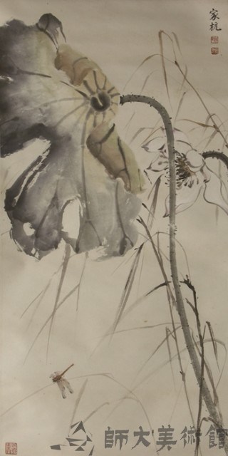 荷花藏品圖，第1張