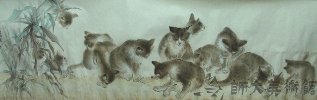 貓兒藏品圖，第1張