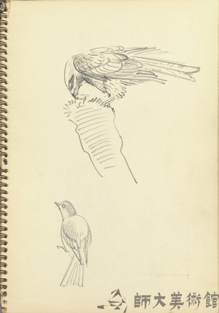 鳥(暫)藏品圖，第1張