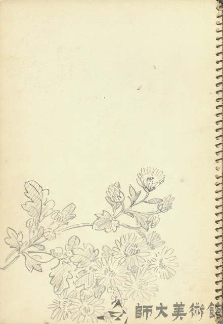 花(暫)藏品圖，第1張