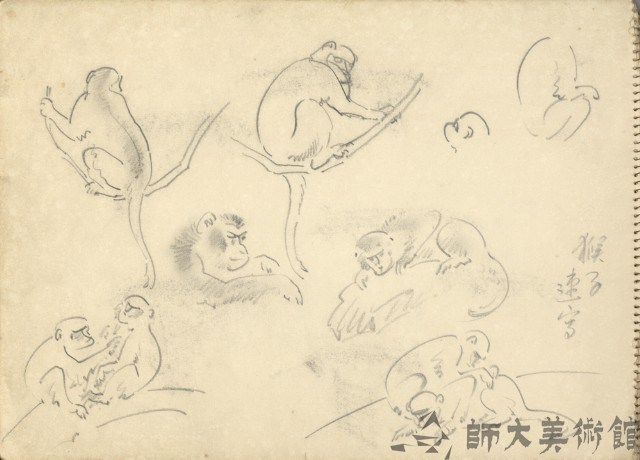 猴子藏品圖，第1張