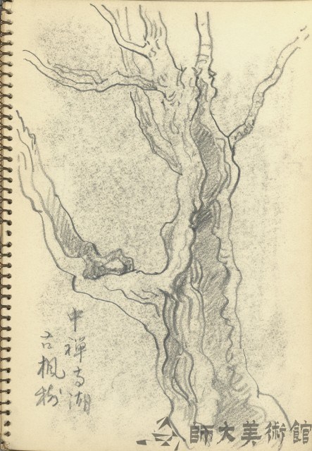 中禪寺湖古楓樹藏品圖，第1張