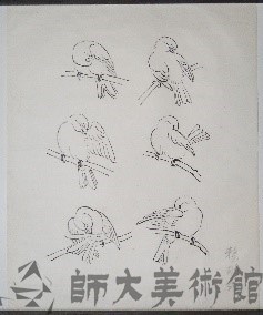 雀鷹畫稿-1藏品圖，第1張