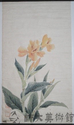 美人蕉藏品圖，第1張
