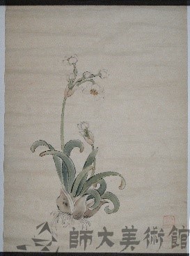 水仙藏品圖，第1張