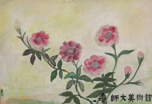 花卉藏品圖，第1張