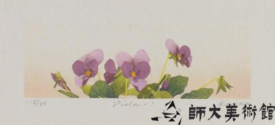 Viola-1藏品圖，第1張