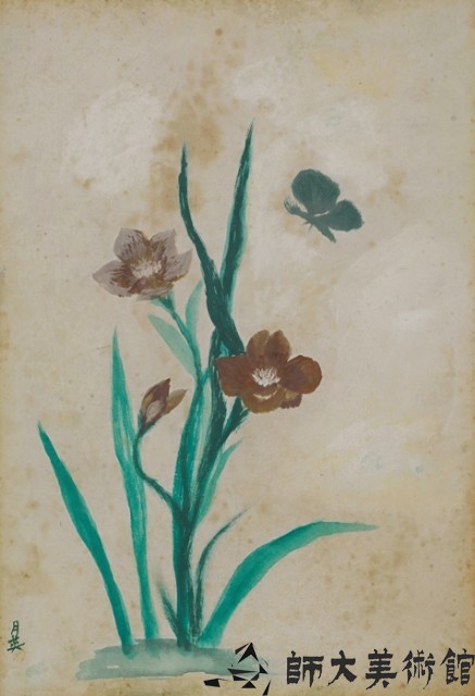 蘭花藏品圖，第1張