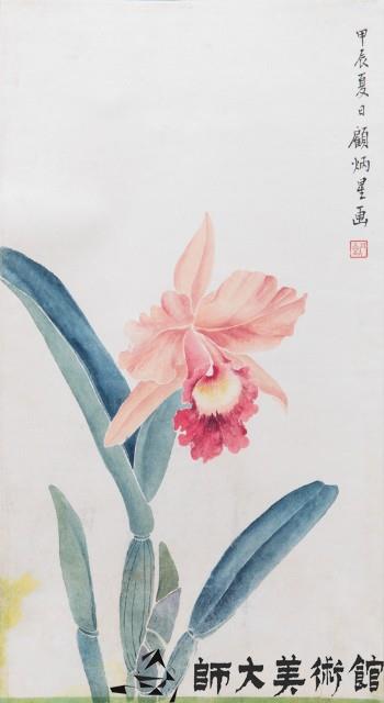 美齡蘭寫生藏品圖，第1張