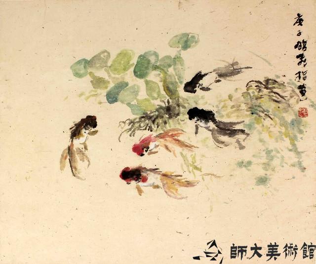 金魚藏品圖，第1張