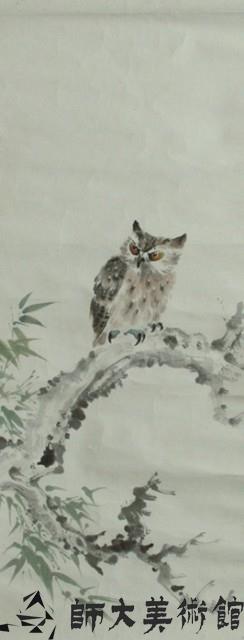 貓頭鷹藏品圖，第1張