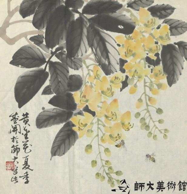 黃金花藏品圖，第1張