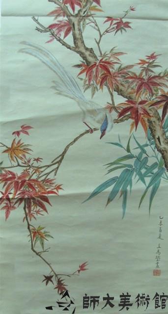 緩帶鳥藏品圖，第1張