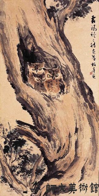 貓頭鷹藏品圖，第1張