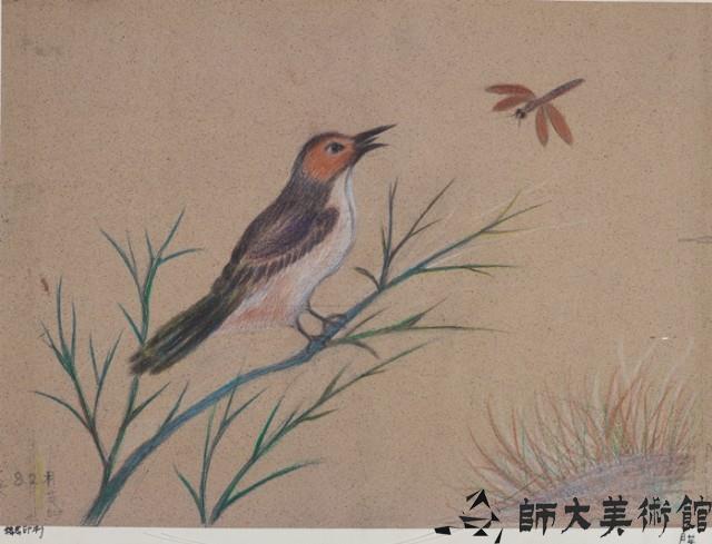鳥與蜻蜓藏品圖，第1張