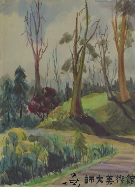 Accession Number:2020-02-0735 Collection Image