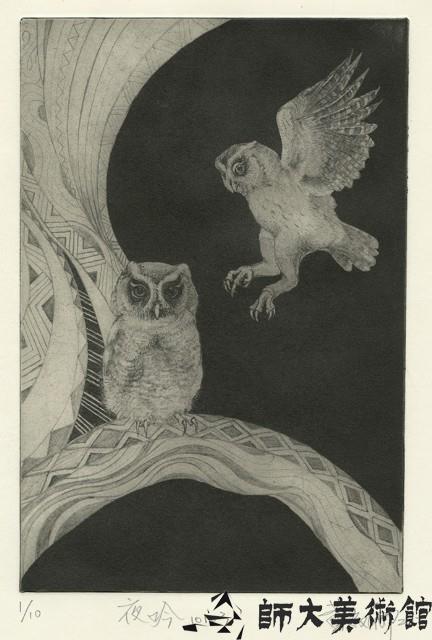 Accession Number:2020-02-2146 Collection Image