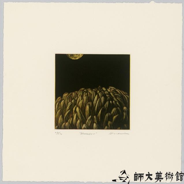 November藏品圖，第1張