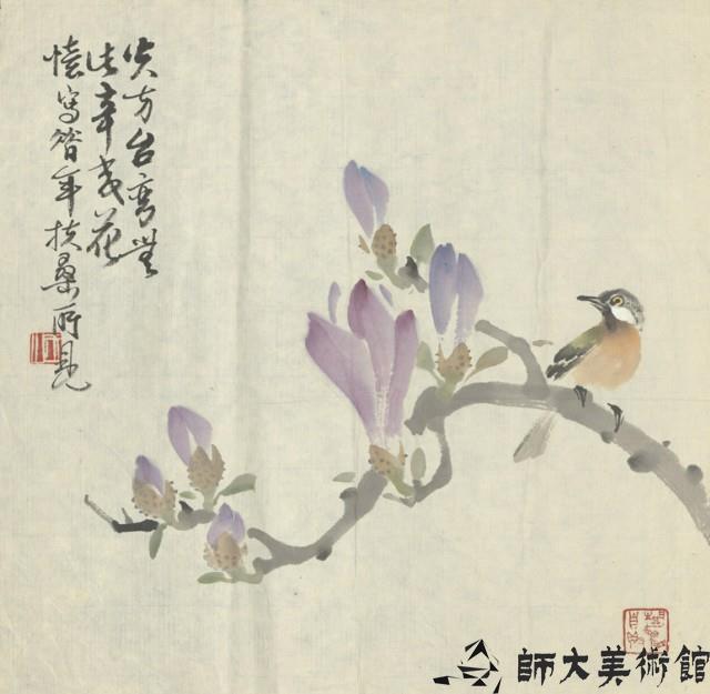 莘荑花藏品圖，第1張