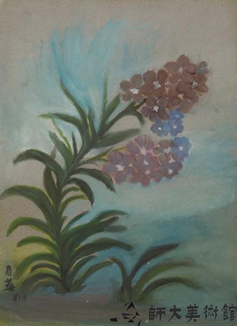 花卉藏品圖，第1張